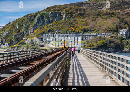 Zug der Brücke Mawddach Mündung Eisenbahn auf die Cambran Küste in der Nähe von Barmouth, Gwynedd, Wales Stockfoto