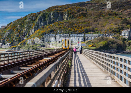 Zug der Brücke Mawddach Mündung Eisenbahn auf die Cambran Küste in der Nähe von Barmouth, Gwynedd, Wales Stockfoto