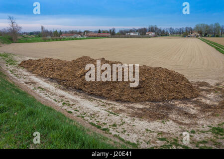 Dünger aus Kuhdung und Stroh. Haufen von Dünger, getroffen worden auf dem Feld im zeitigen Frühjahr Felder zu düngen. Stockfoto