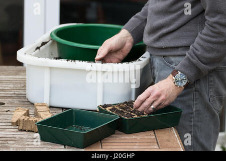 Hobbygärtner, Boden in kleinen Töpfen Samen hinzufügen Stockfoto