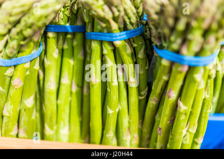 Makro Nahaufnahme des Spargels Trauben Seiten auf dem display Stockfoto