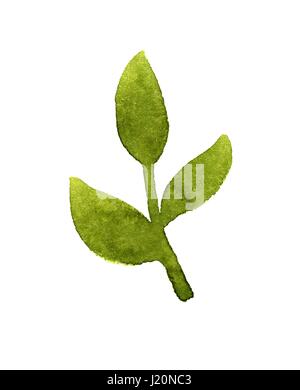 Zweig mit grünen Blättern. Aquarell Bild Stockfoto