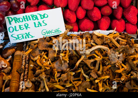 Pilze in einem Obstladen. San Miguel Markt, Madrid, Spanien. Stockfoto