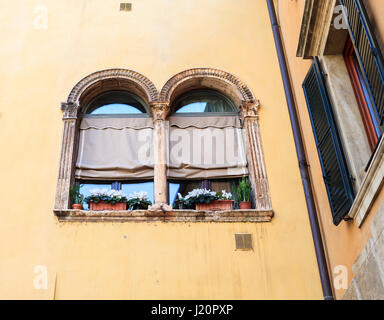 Typische doppelt gewölbte Fenster, zweibogigen Fenster in Verona Stockfoto