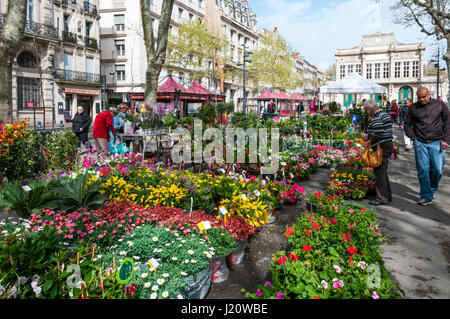 Beziers Blumenmarkt im Languedoc, Frankreich. Stockfoto