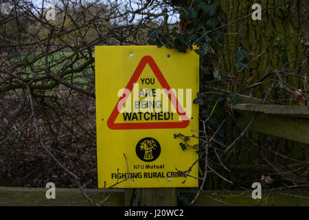 Dieb-Poster, der Sie beobachtet, wie NFU gegenseitiges Verbrechen im ländlichen Raum kämpft Woos Salcey Forest Northamptonshire Schild Woods Wood Bracken Stockfoto