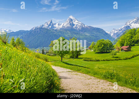 Schöne Aussicht auf die idyllische Bergwelt der Alpen mit Wanderweg, frische grüne Almwiesen und schneebedeckte Bergspitzen im Sommer Stockfoto