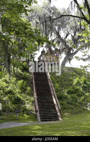 Tempel-Hügel fünf im Crystal River archäologische State Park Stockfoto