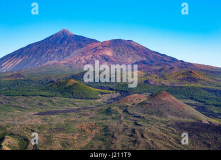 Pico del Teide Und Pico Viejo, Ausblick Vom Teno-Gebirge, Teneriffa, Kanarische Inseln, Spanien Stockfoto