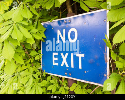 ein blau-weißen Schild mit der Aufschrift keine Ausfahrt außerhalb in der Nähe einen Parkplatz-Einschränkung in den Büschen und Bäumen Recht Straßen Autofahrer Autos Stockfoto
