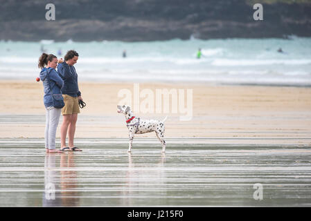 Leute, die mit einem dalmatinischen Hund am Fistral Beach in Newquay in Cornwall in Großbritannien spielen. Stockfoto