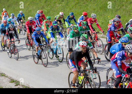 ZAGREB, Kroatien - 23. April 2017: Biker racing bei 6. Etappenrennen in Tour Kroatien, Internationales Radrennen laufen entlang der adriatischen Küste und inl Stockfoto