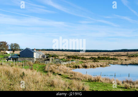 Dozmary Pool auf Bodmin moor in Cornwall, England, Großbritannien, uk Stockfoto