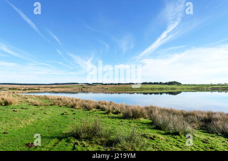 Dozmary Pool auf Bodmin moor in Cornwall, England, uk Stockfoto