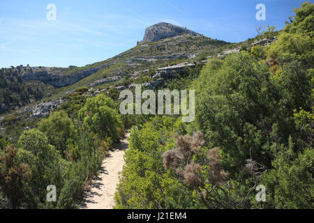 Wandern rund um Garlaban in der Nähe von Marseille Stockfoto