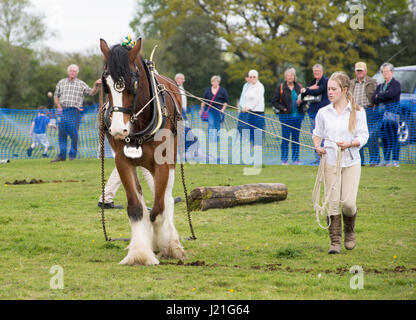 Harbridge, Ringwood, Hampshire, Großbritannien, 23.. April 2017. Demonstrationen von Fähigkeiten im Umgang mit Pferden, landwirtschaftlichen Methoden aus vergangenen Zeiten und Kutschenrennen bei der Veranstaltung der Southern Counties Heavy Horse Association. Stockfoto