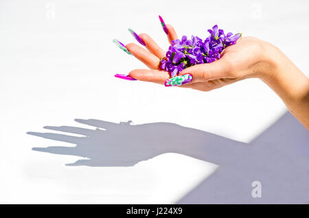 Hand mit Nägeln wieder aufgebaut und geschmückt mit bunten Blumen bringen blauen und weißen Blumen auf weißem Hintergrund, schöne Neuheit für Frühling und Sommer Stockfoto