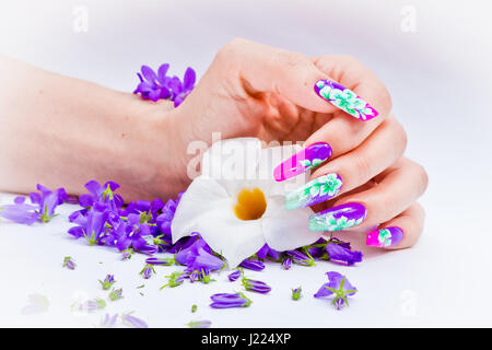 Hand mit Nägeln wieder aufgebaut und geschmückt mit bunten Blumen bringen blauen und weißen Blumen auf weißem Hintergrund, schöne Neuheit für Frühling und Sommer Stockfoto