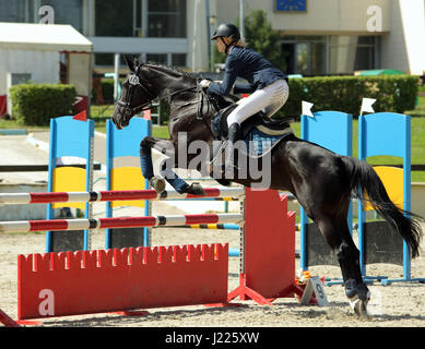 Junges Mädchen auf dem Pferd bei Springprüfung Stockfoto