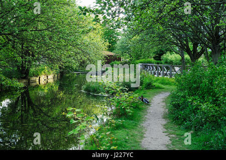 Woodberry Feuchtgebiete Nature Reserve und der New River, Stoke Newington, Nord-London, UK Stockfoto