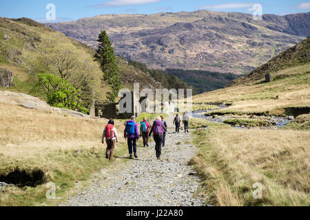 Wanderer auf dem Watkin Weg vorbei an alten Ruinen in Berge von Snowdonia-Nationalpark wandern.  CWM Llan, Gwynedd, North Wales, UK, Großbritannien Stockfoto