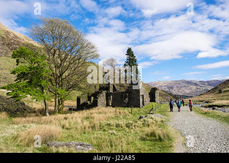 Wanderer auf dem Watkin Weg vorbei an alten Ruinen in Berge von Snowdonia-Nationalpark wandern.  CWM Llan, Gwynedd, North Wales, UK, Großbritannien Stockfoto