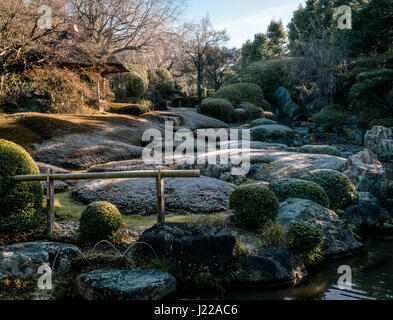 Geneigte Teppich getrimmte Azaleen, abgedeckt durch Frost, im Zen-Garten des Taizoin, ein Subtemple Myoshinjin in Kyoto. Stockfoto