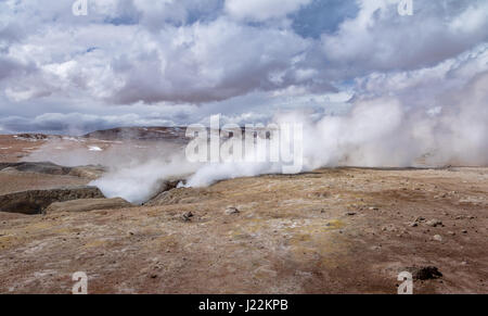 Geysire Sol de Manana Eduardo Avaroa National Reserve der Anden Fauna - Abteilung Potosi, Bolivien Stockfoto