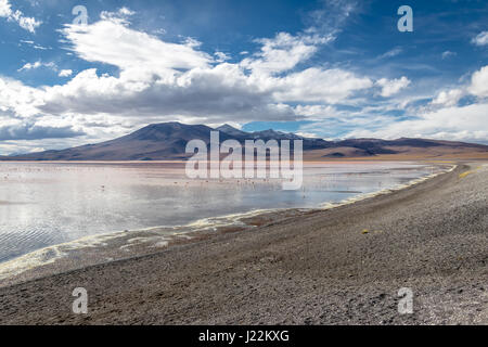 Laguna Colorada (rote Lagune) Bolivean Altiplano - Abteilung Potosi, Bolivien Stockfoto