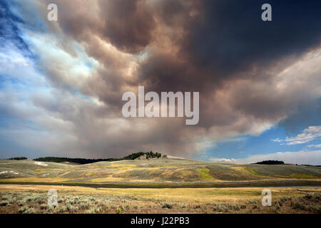 Rauch, Wolken, Waldbrand, Yellowstone-Nationalpark, Wyoming, USA Stockfoto