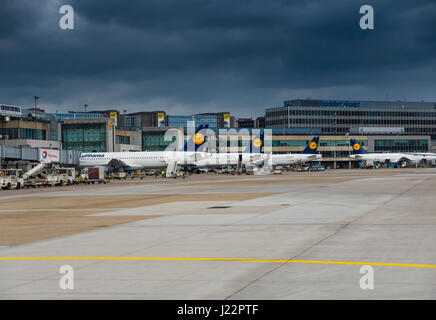 Lufthansa-Flugzeuge am Frankfurter Flughafen, Frankfurt Am Main, Hessen, Deutschland Stockfoto