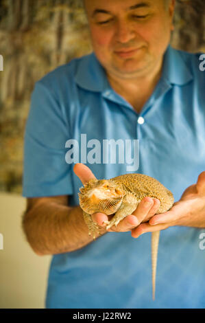 Mann, der eine Bartagame Eidechse in seinen Händen hält Stockfoto