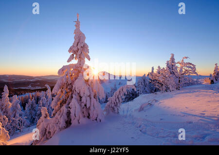 Raummotive Im Winter, Großer Arber, Naturpark Bayerischer Wald, Niederbayern, Bayern, Deutschland Stockfoto