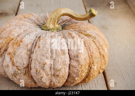 Kürbis auf dem alten Holzboden. Stockfoto