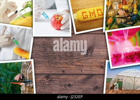 Gentechnik, Wissenschaft und Technologie in der Landwirtschaft, Foto-Collage auf Holz Hintergrund als Textfreiraum Stockfoto