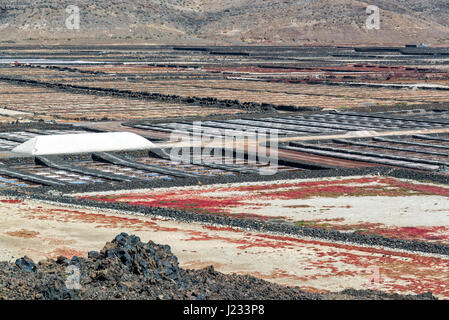Las Salinas de Janubio, Salzwiesen in Lanzarote, Kanarische Inseln, Spanien Stockfoto