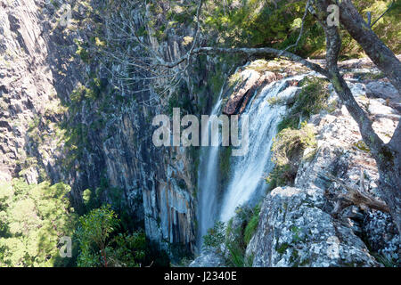 Minyon Falls, Schlummertrunk Ranges National Park, NSW, Australien Stockfoto