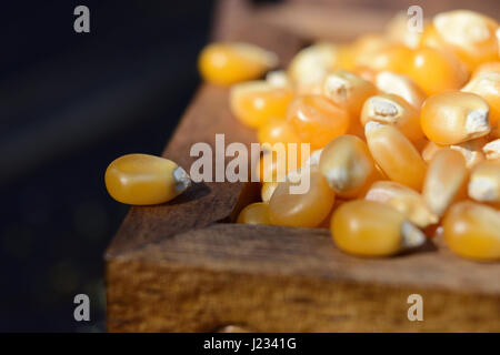 Ein Mais bean am Rande eines hölzernen Truhe voller Mais Bohnen. Natürliches Tageslicht. Stockfoto