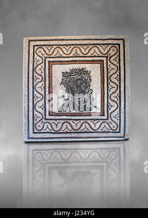 Römischen geometrischen Bodenmosaik mit einer Büste in der Mitte. Von Forte Prenestino Gegend von Rom. 3. Jahrhundert n. Chr. Römische Nationalmuseum, Rom, Italien Stockfoto