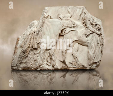 Releif Marmorskulpturen aus dem Süden Fries rund um den Parthenon Block XLVI 142-144. Aus dem Parthenon von der Akropolis in Athen. British Museum Stockfoto