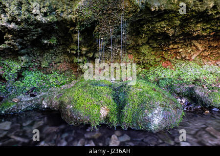 Heilquelle, Woodwell, Silverdale, Lancashire, England, Vereinigtes Königreich Stockfoto