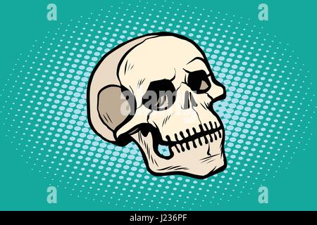 menschlicher Schädel Kopf Skelett. Pop-Art-Retro-Vektor-illustration Stock Vektor