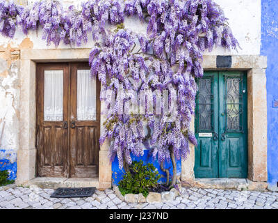 Lila Glyzinien Pflanze wächst um Türen eines alten Hauses in Portugal. Stockfoto