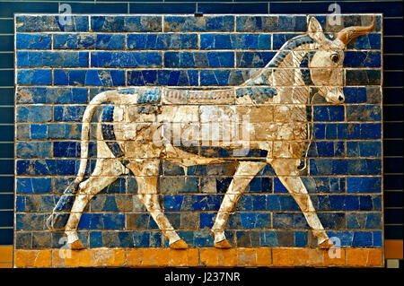 Auerochsen-Relief-Bilder auf glasierten Ziegeln vom Ischtar-Tor, Babylon, Irak gebaut um 575 v. Chr., Archäologisches Museum Istanbul. Stockfoto