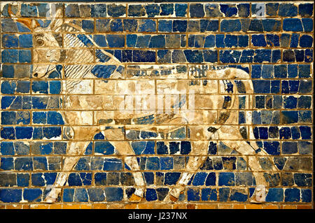 Auerochsen-Relief-Bilder auf glasierten Ziegeln vom Ischtar-Tor, Babylon, Irak gebaut um 575 v. Chr., Archäologisches Museum Istanbul. Stockfoto