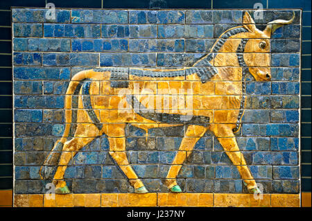 Auerochsen-Relief-Bilder auf glasierten Ziegeln vom Ischtar-Tor, Babylon, Irak gebaut um 575 v. Chr., Archäologisches Museum Istanbul. Stockfoto