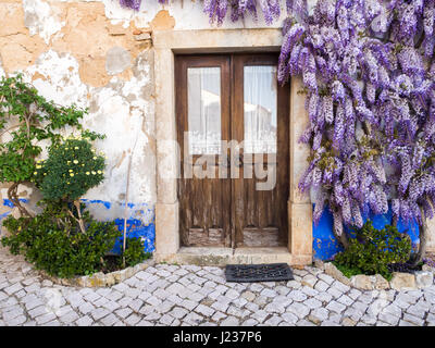 Lila Glyzinien Pflanze wächst um Türen eines alten Hauses in Portugal. Stockfoto