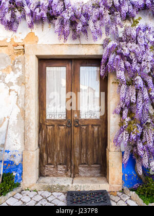 Lila Glyzinien Pflanze wächst um Türen eines alten Hauses in Portugal. Stockfoto