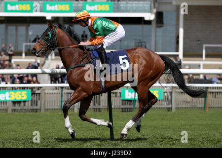 Jockey Ryan Moore an Bord Ruf wollte für Weatherbys General Stud Book Online Handicap Rennen bei Tag zwei der bet365 Craven in Newmarket Racecourse post Stockfoto