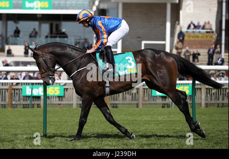 Jockey Ryan Moore an Bord Whitecliffsofdover gehen für das bet365 Europäischen Freien Handicap Rennen bei Tag zwei der bet365 Craven in Newmarket Racecourse Posten Stockfoto